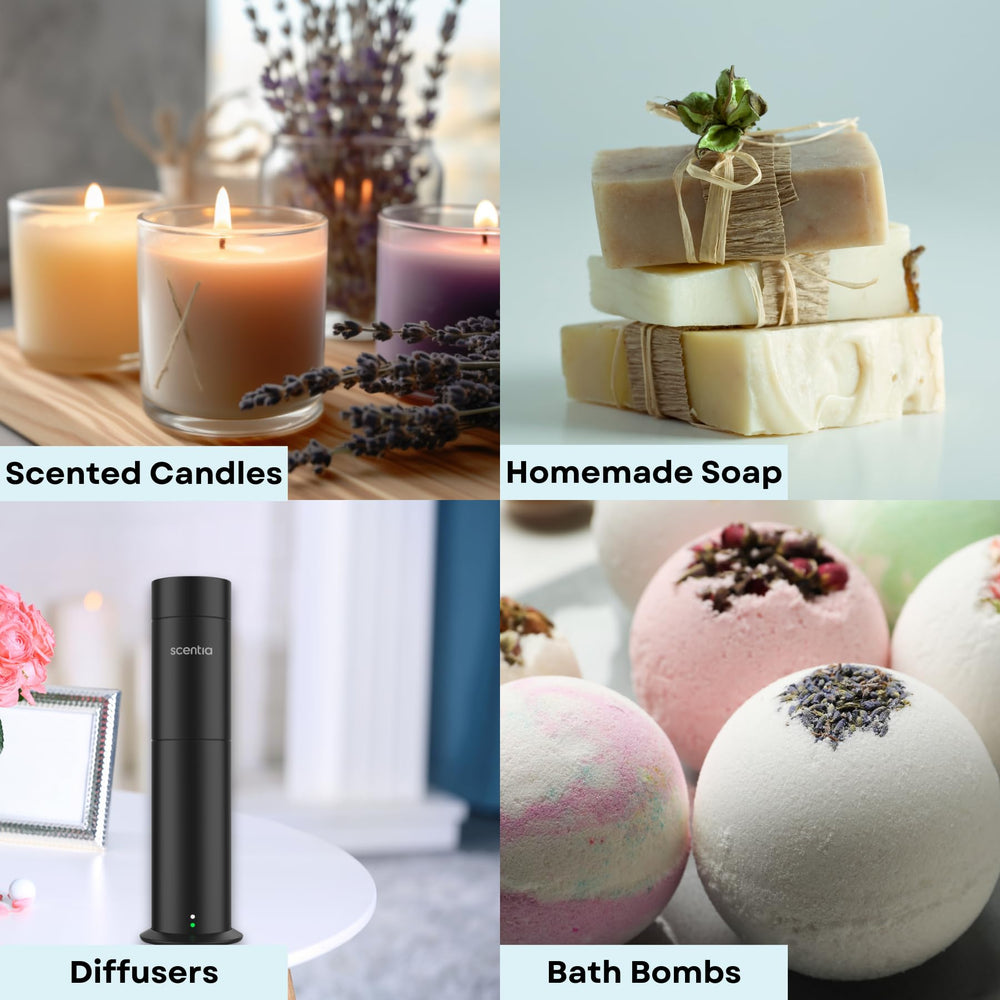 Scentia Pine Frost oil pour for easy diffuser use in homes
