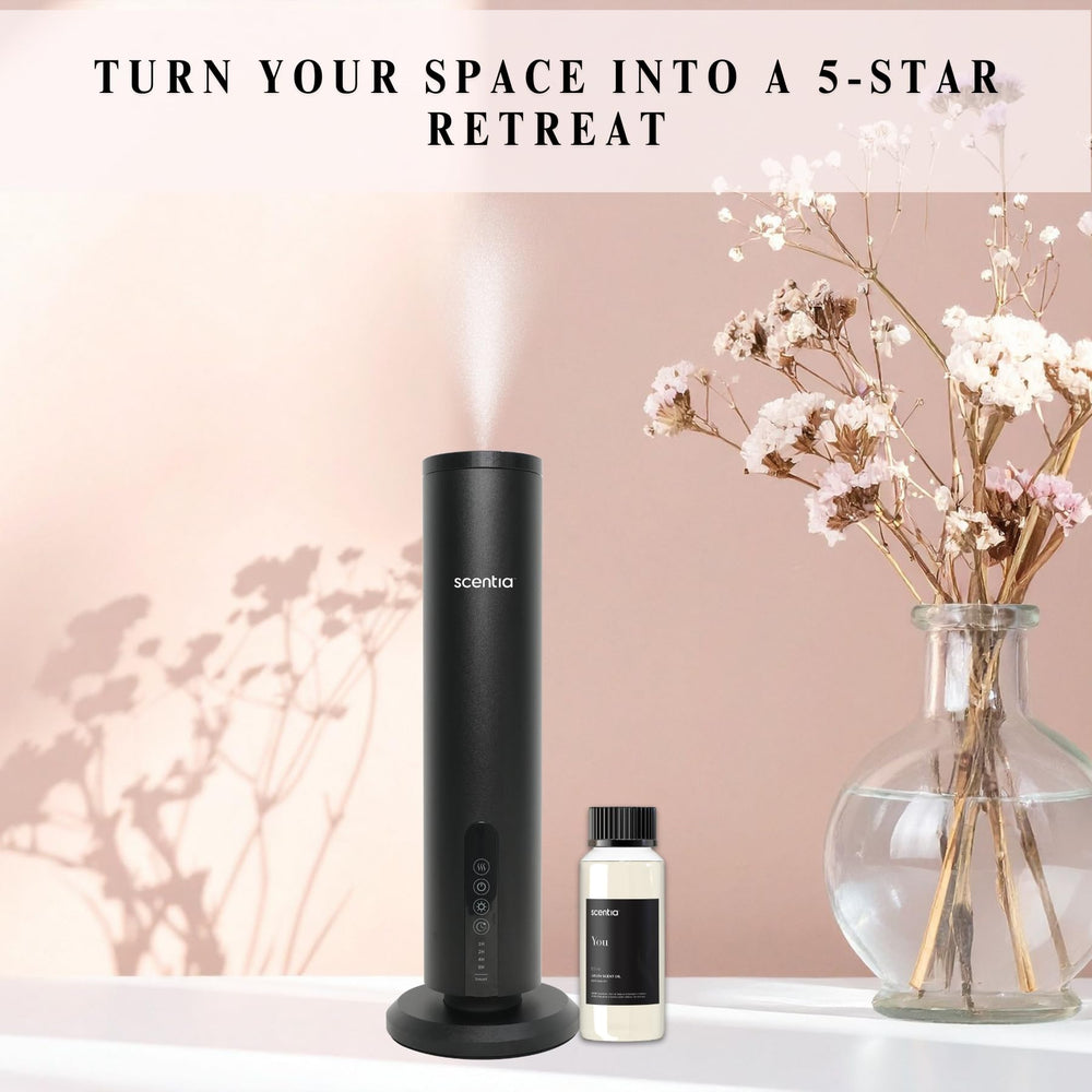 Scentia You diffuser oil reveals pine and eucalyptus for grounding aroma.