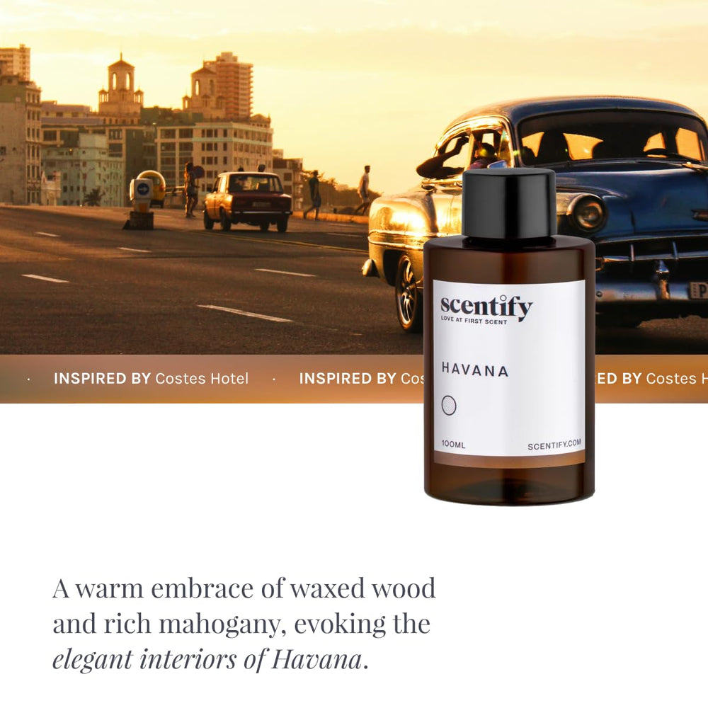 Scentify Havana aroma oil in a gift-ready bottle for thoughtful presents.