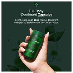 Scentless ingredients chlorophyll parsley mint highlighted for natural odor control.