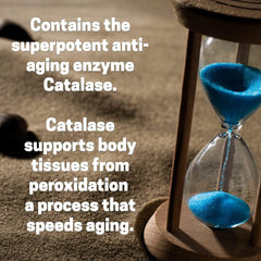 Inside view of delayed-release capsules in Script Essentials Catalase bottle for steady absorption.