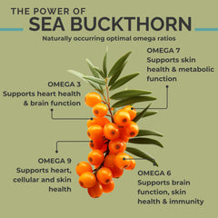SeabuckWonders Complete Omega oil softgels show convenient daily dosage.