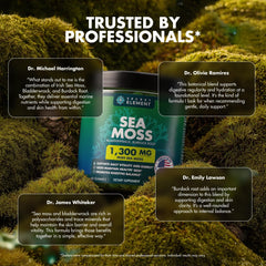 Secret Element Sea Moss Gummies packaging box highlights product branding and storage.