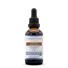Secrets of the Tribe Ceylon Cinnamon tincture bottle for daily wellness routine