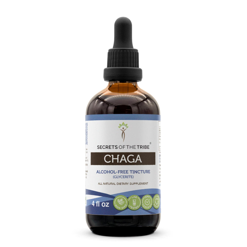 Secrets of the Tribe Chaga tincture bottle, alcohol-free extract, for daily use and easy absorption.