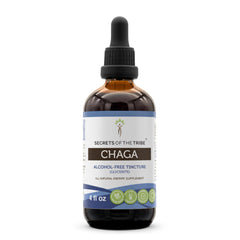 Secrets of the Tribe Chaga tincture bottle, alcohol-free extract, for daily use and easy absorption.