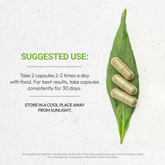 Secrets of the Tribe Chanca Piedra capsules close-up highlighting natural herb blend for everyday support.