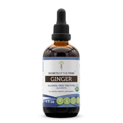 Secrets of the Tribe Ginger organic bottle for everyday organic flavor and wellness rituals.