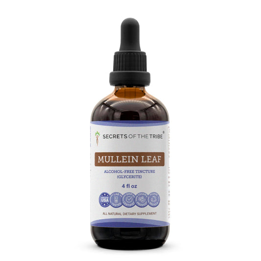 Secrets of the Tribe mullein tincture bottle front for daily wellness.