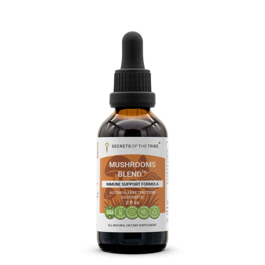 Secrets of the Tribe Mushrooms Blend bottle with dropper for easy, alcohol-free daily use