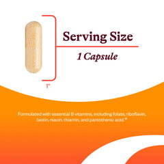 Seeking Health B Complex Plus packaging and label showing choline and riboflavin ingredients.
