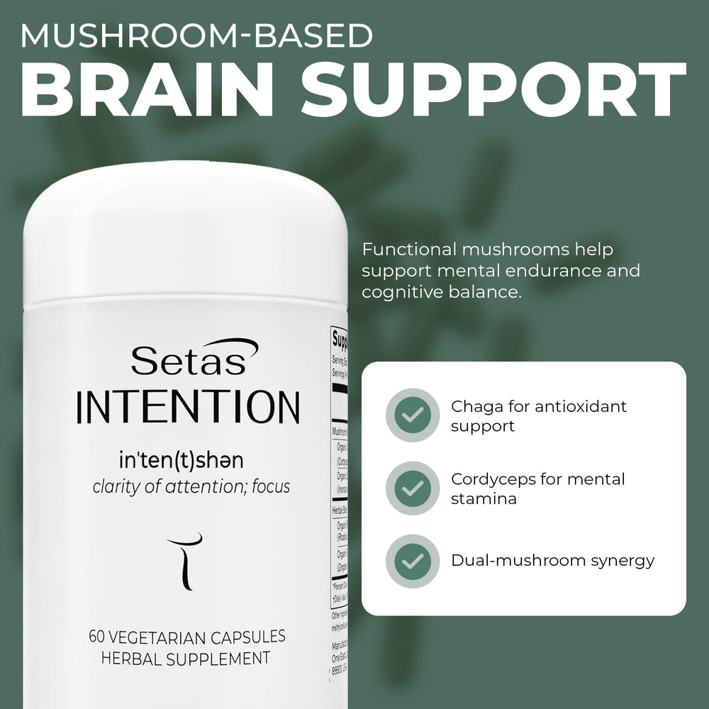 Setas Intention ginger and rhodiola blend for steady mental energy