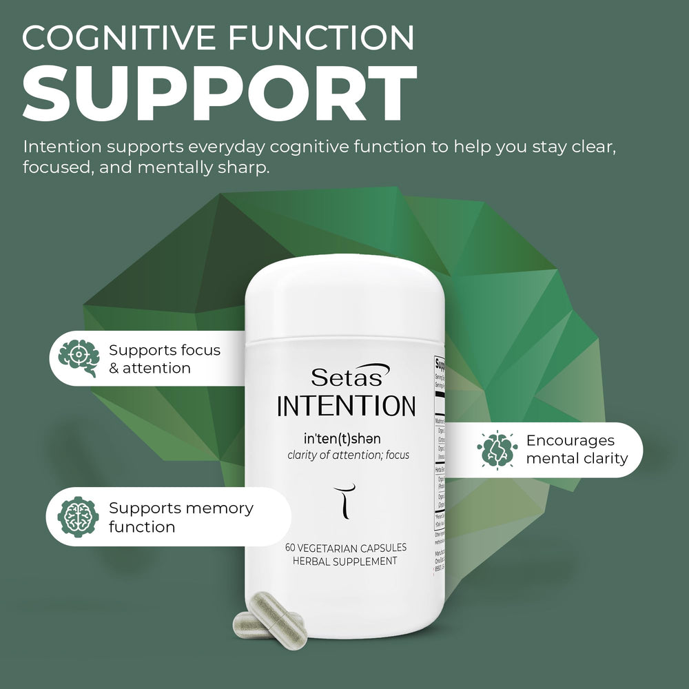 Setas Intention ingredients Chaga and Cordyceps for clarity and resilience during tasks