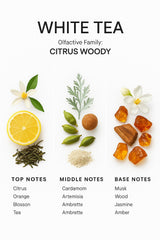 SevenAromas gift-ready-diffuser-oil ideal for refined hospitality gifts