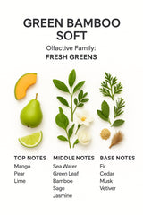 SevenAromas diffuser oil ready for easy setup in living rooms and offices.