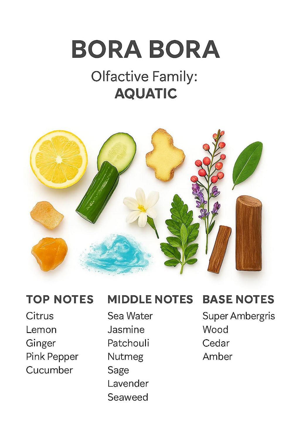 SevenAromas premium dropper bottle display enables precise scent dosing.