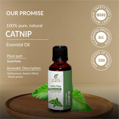 DIY blends with Sheer Essence catnip oil for personal fragrance ideas