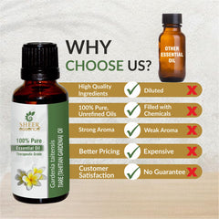 Lifestyle scene with Sheer Essence catnip oil in a calming space