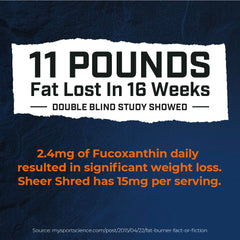 Sheer Strength Labs Shred bottle back view with dosage information.