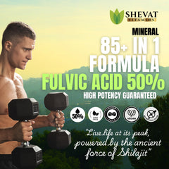 SHEVAT VITAMINS Shilajit with Fulvic Acid 500mg per serving highlights mineral absorption