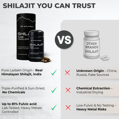 SHILAHEAL ingredients may support immune health and cognitive function.