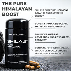 SHILAHEAL purity lab-test report indicating safety and authenticity.