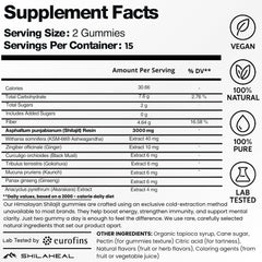 SHILAHEAL Shilajit Gummies immune support for everyday resilience.