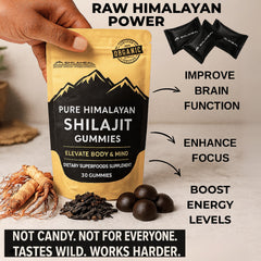SHILAHEAL Shilajit Gummies lab-tested purity and safety assurance.