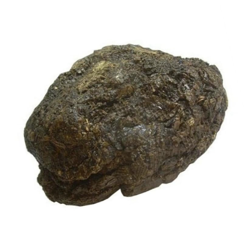 Shiva Organic Raw Propolis Block slice held in hand suggests easy blending into recipes.