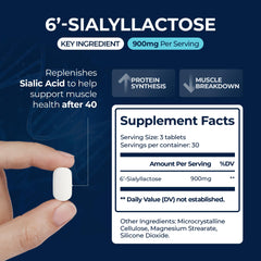 SIALLAC clinical trial data sheet visual referencing long-term muscle health research.