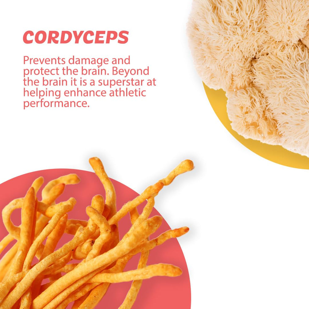 Cordyceps extract supports sustained energy for workouts or long workdays
