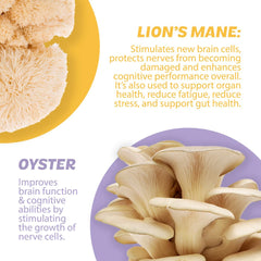 Reishi inclusion promotes calm balance during hectic schedules