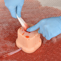 SimCoach education-tool setup supports emergency care courses and skills labs.