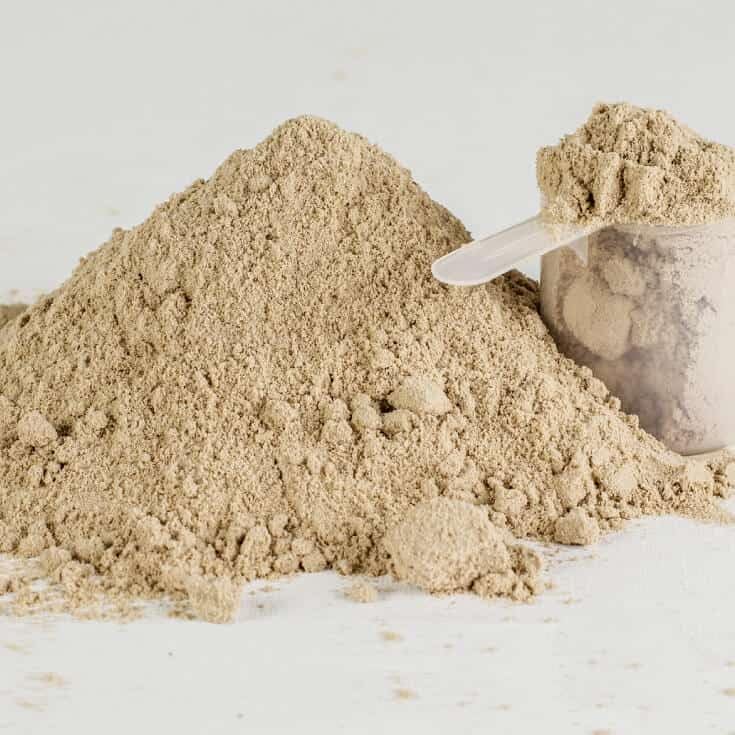 Close-up of SINGHS kava powder texture showing micronized smoothness