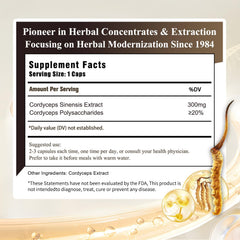 Closeup of Sino-Sci Cordyceps capsules highlights concentrated 12X extract for vitality.