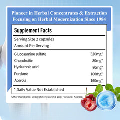 Sino-Sci Joint Choice capsules close-up for comfortable, flexible movement.