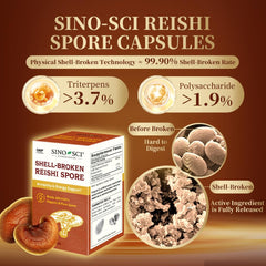 Sino-Sci capsule notes high polysaccharide and triterpene content
