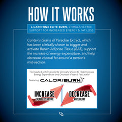 SIRENLABS Elite Burn on kitchen counter with shaker, illustrating easy daily use.