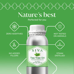 Siva Tea Tree Oil in a diffuser setup enhancing room ambience.