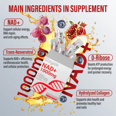 Sizyok Liposomal NAD visual showcasing advanced delivery
