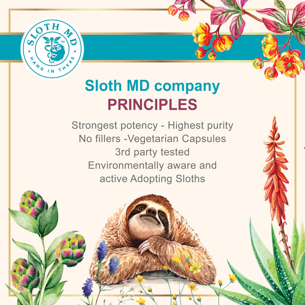 SLOTH MD Aloe Ferox capsules held in hand for on-the-go support