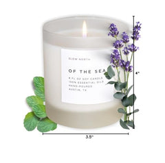 Slow North Sea Candle with spring-blend notes invites daily calm and focus.