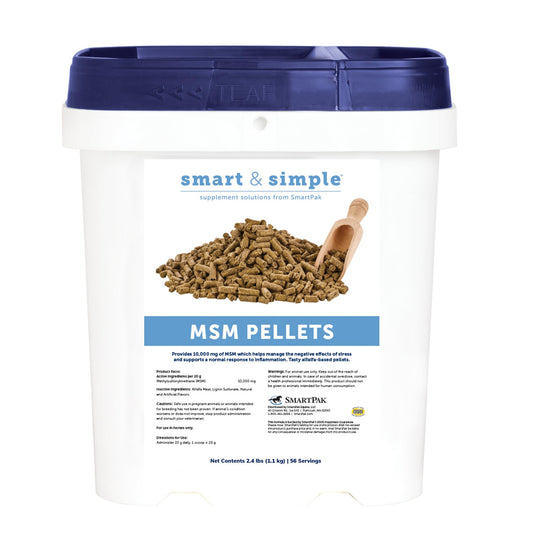 SmartEquine Smart and Simple MSM Pellets bottle label shows trusted daily supplement use.