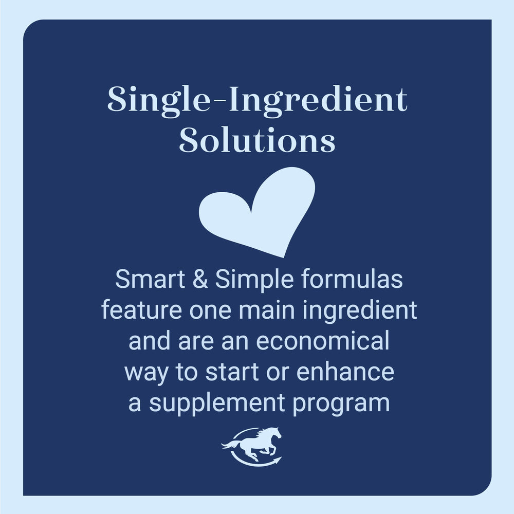 SmartEquine MSM Pellets feeding scene illustrates easy integration into turnout.
