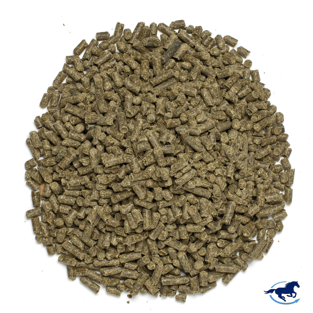 SmartEquine MSM Pellets close-up highlights texture for measured dosing.