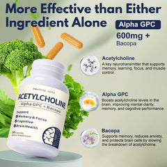Smelling salts Bacopa monnieri bottle and leaves for brain health
