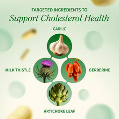Snap Supplements Cholesterol Health beta sitosterol featured plant sterols for fat metabolism.