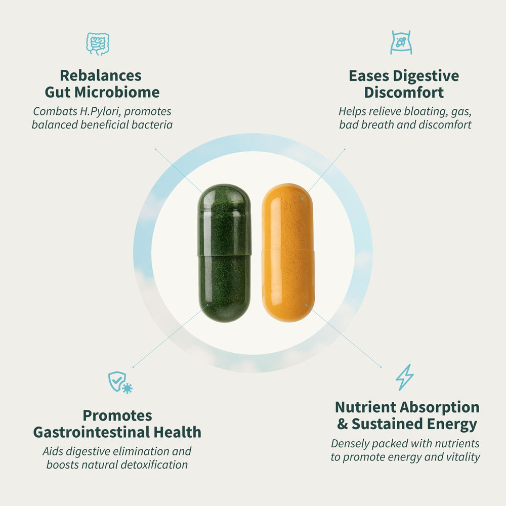 Snap Supplements Digestive-support bundle promotes daily comfort during commutes
