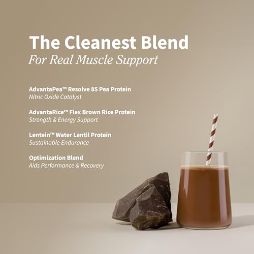 Snap Supplements vegan protein chocolate shake served after training