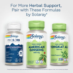 SOLARAY American Ginseng 480 mg packaging close-up with usage guidance